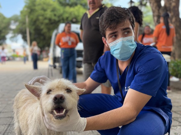 Prefeitura do Crato celebra Dia Nacional dos Animais com serviços de saúde e conscientização na Praça Cristo Rei