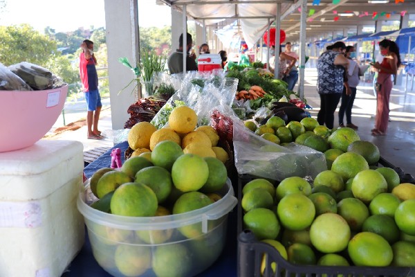 Crato: Credenciamento para o Programa de Aquisição de Alimentos (PAA) acontece no dia 14