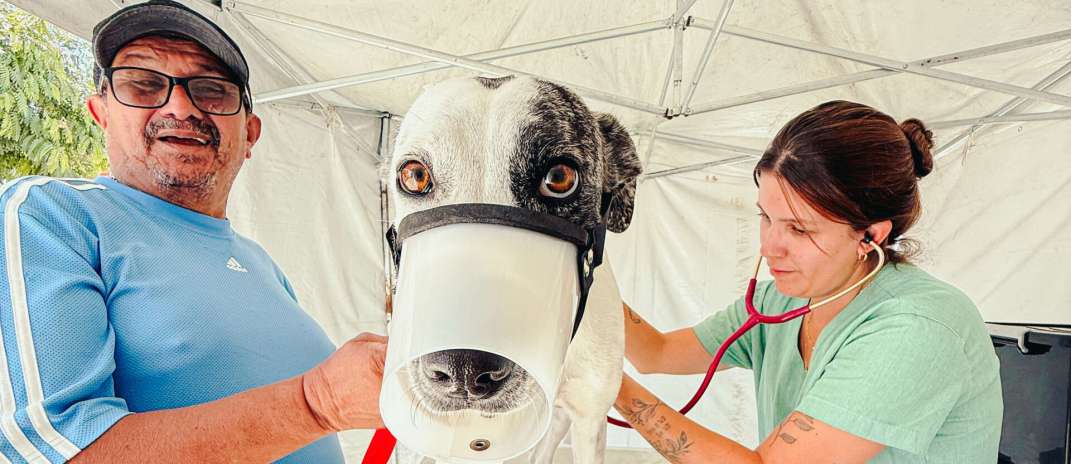 Governo do Ceará leva castrações gratuitas de cães e gatos ao Cariri com o Pet Ceará Móvel