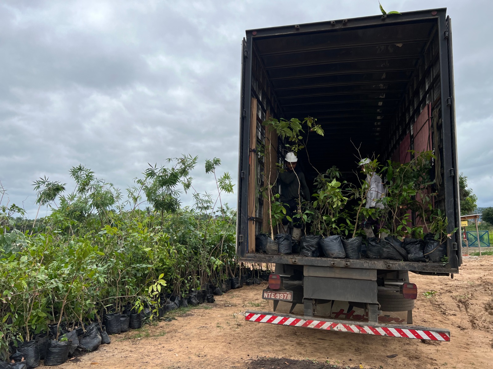 Mais árvores e menos óleo na natureza: Ambiental Crato amplia ações de preservação da biodiversidade com práticas de sustentabilidade