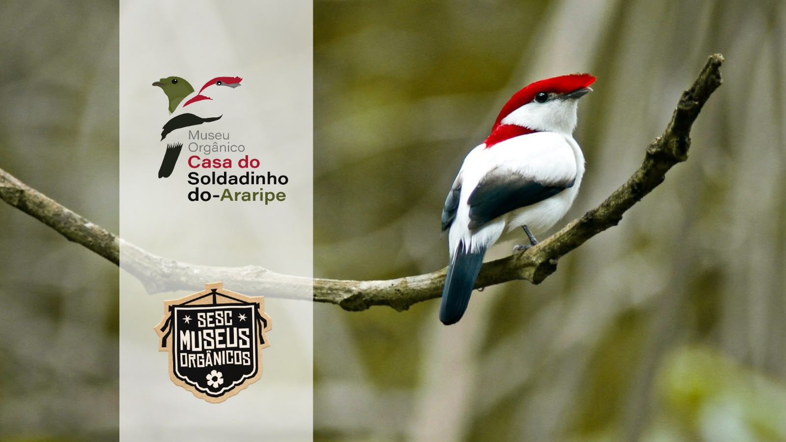 Museus Orgânicos, projeto pioneiro do Sesc Ceará, chega ao 30º museu