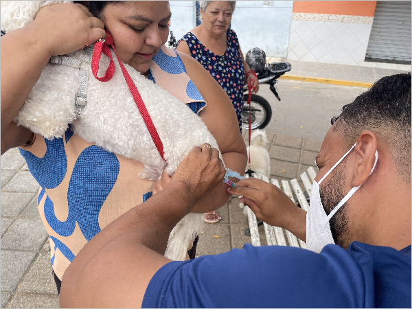 Dia D de Vacinação Antirrábica acontece sábado (12) em Crato