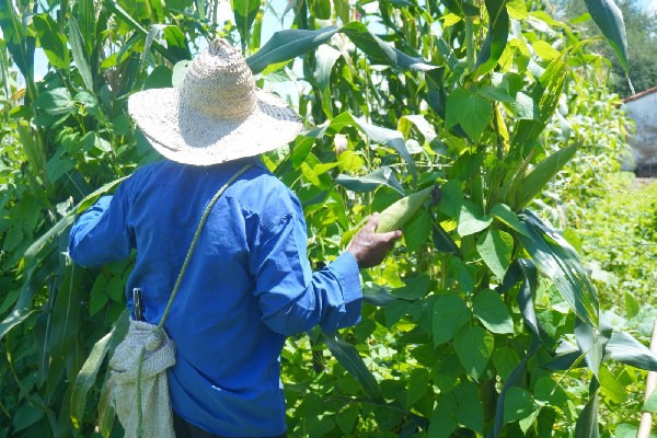 Juazeiro do Norte divulga calendário de cadastramento de agricultores familiares para o Garantia-Safra 2026/2027