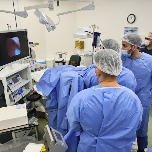 Ceará vai realizar mais de 31 mil procedimentos em mutirão nacional voltado à saúde das mulheres