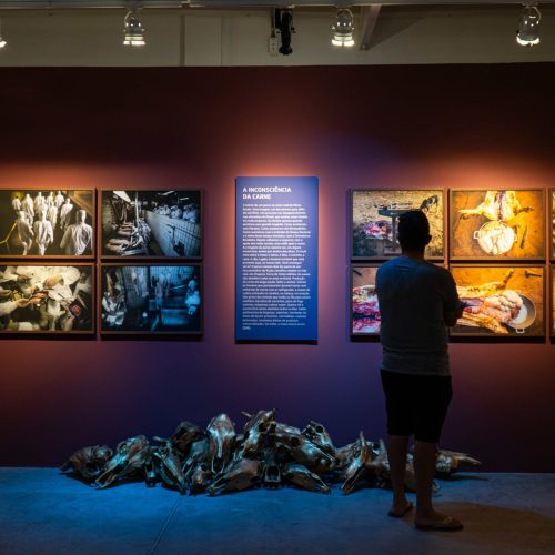 Inscrições abertas para curso gratuito de longa duração em Pesquisa e Criação em Exposições de Arte