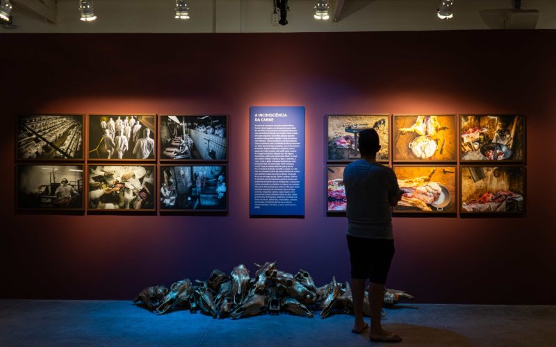 Inscrições abertas para curso gratuito de longa duração em Pesquisa e Criação em Exposições de Arte
