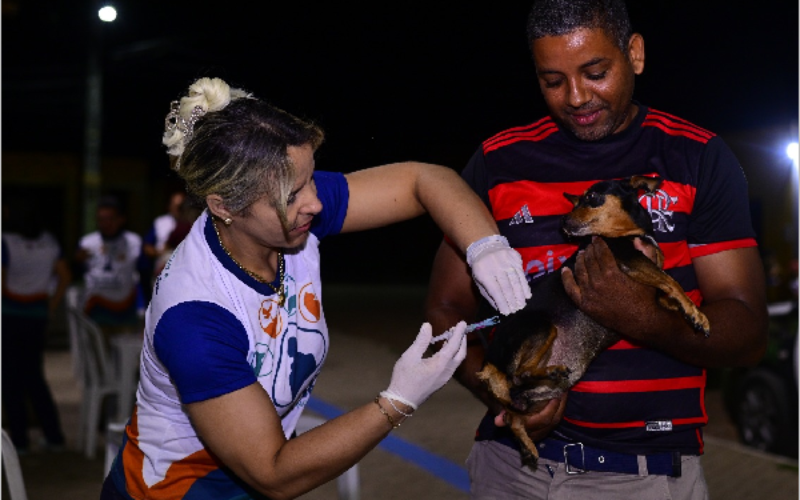 Secretaria de Saúde de Juazeiro do Norte divulga novos pontos volantes de vacinação antirrábica
