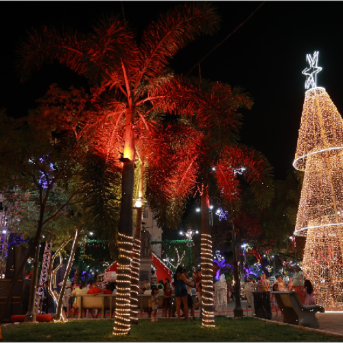 Neste Natal 75% dos consumidores pretendem comprar em lojas físicas