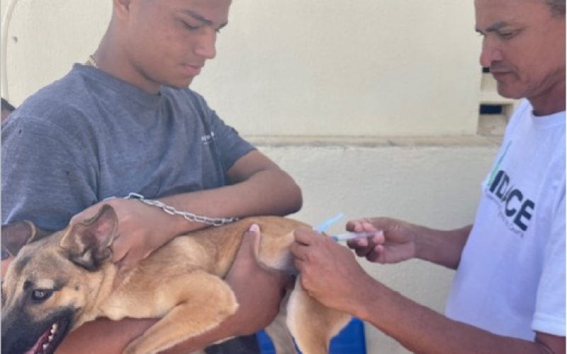 Crato realiza vacinação antirrábica e teste de leishmaniose ao Sítio Santo Antônio