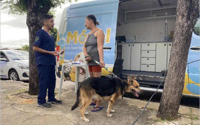 Atendimento veterinário nos bairros e distritos: UPAA Lessa divulga cronograma de setembro