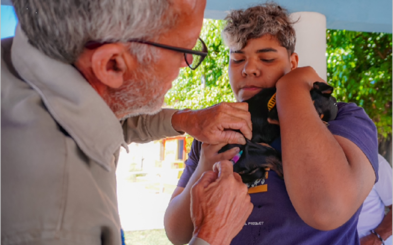 Prefeitura do Crato realiza vacinação antirrábica no próximo sábado, 13