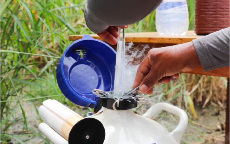 Crato inicia protocolos de inseminação para melhoramento genético da bovinocultura leiteira