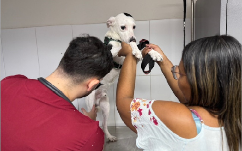 UPAA Lessa registra mais de 70 mil atendimentos desde a inauguração e intensifica ações