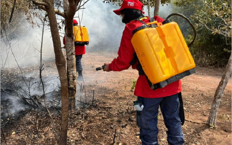 Município do Crato proíbe queimadas até o dia 30 de novembro, através de instrução normativa