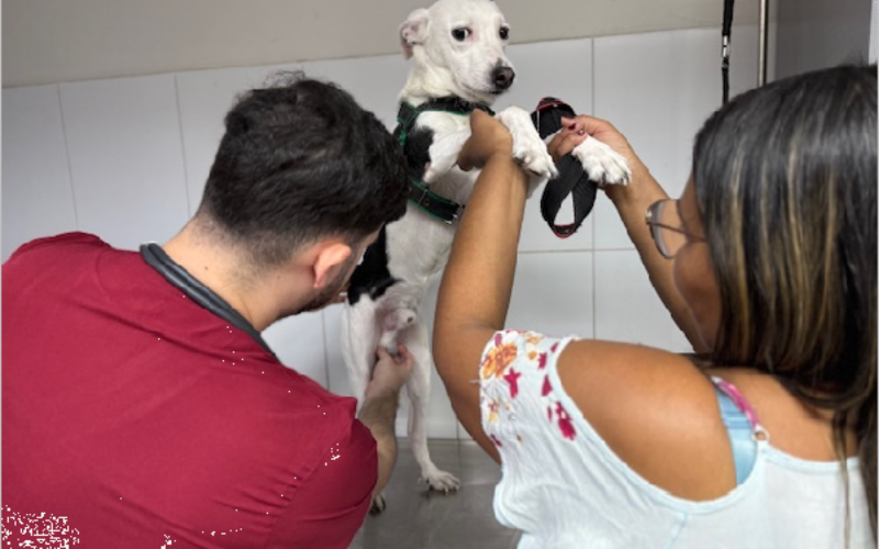 VetMóvel divulga cronograma completo de atendimentos gratuitos para dezembro no Crato