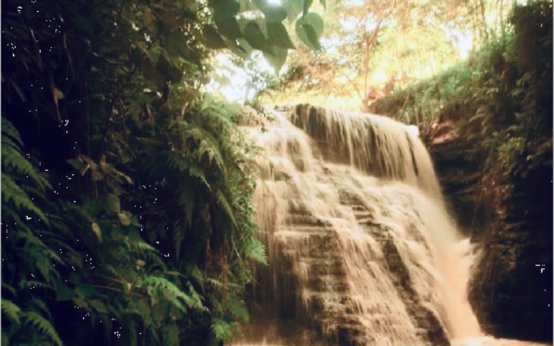 Crato conquista reconhecimento internacional por avanços na adaptação às mudanças climáticas