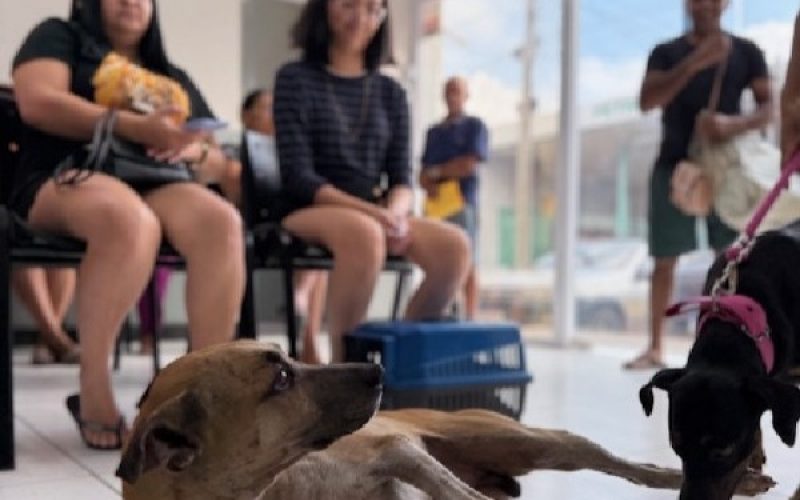Encontro debate fortalecimento da causa animal em Crato, nesta sexta-feira, 5