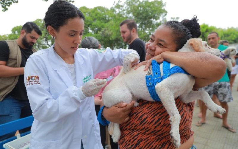 Juazeiro do Norte realiza Dia D de Vacinação Antirrábica neste sábado, com 27 pontos volantes
