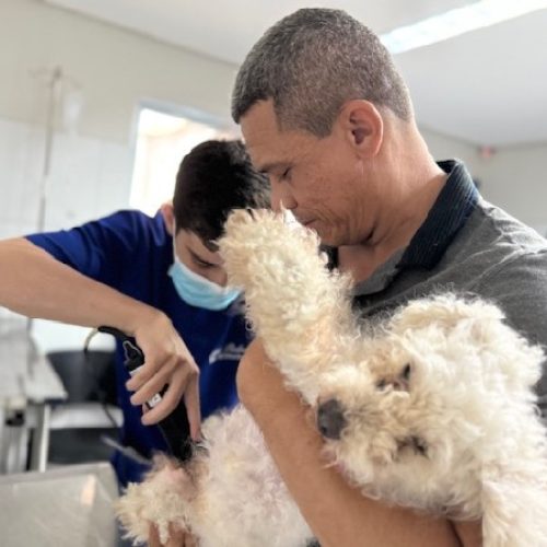 Crato alcança marca de 10 mil castrações gratuitas e reforça combate aos maus-tratos no Abril Laranja