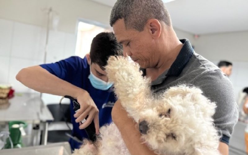 Crato alcança marca de 10 mil castrações gratuitas e reforça combate aos maus-tratos no Abril Laranja