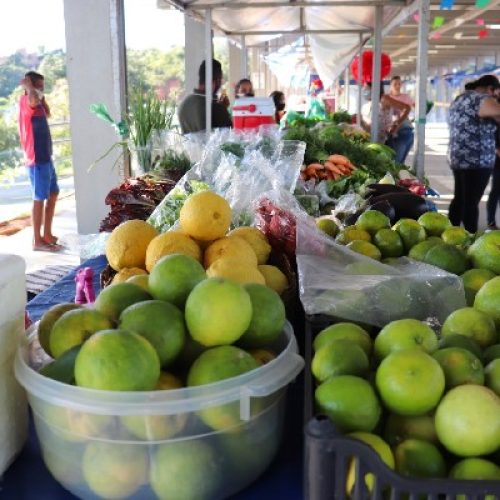 Crato: Credenciamento para o Programa de Aquisição de Alimentos (PAA) acontece no dia 14