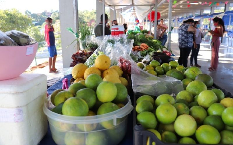 Crato: Credenciamento para o Programa de Aquisição de Alimentos (PAA) acontece no dia 14