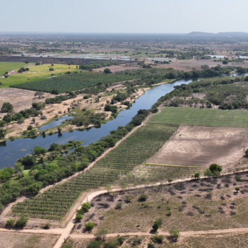 Ceará atinge quase 2 mil km de rios perenizados, conforme relatório da Cogerh