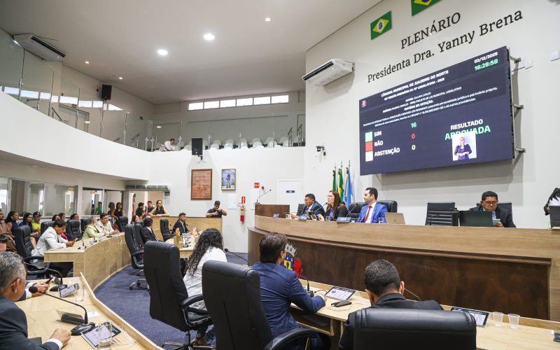 Câmara de Juazeiro aprova projeto que proíbe plantio de Nim indiano no município