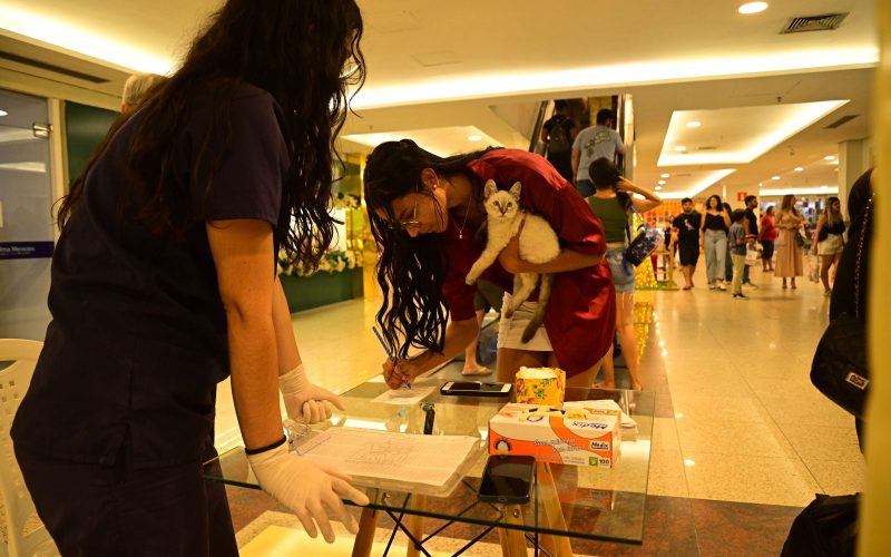 Evento de adoção de animais acontece neste sábado (18) no Cariri Shopping com vacinação antirrábica gratuita