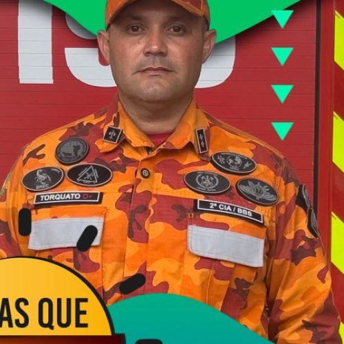 Animais silvestres em área urbana: saiba como agir ao encontrar os animais e que órgãos acionar