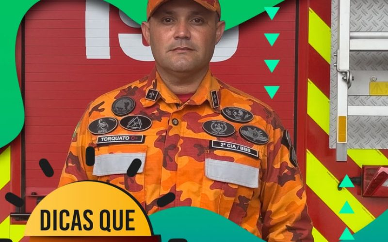 Animais silvestres em área urbana: saiba como agir ao encontrar os animais e que órgãos acionar