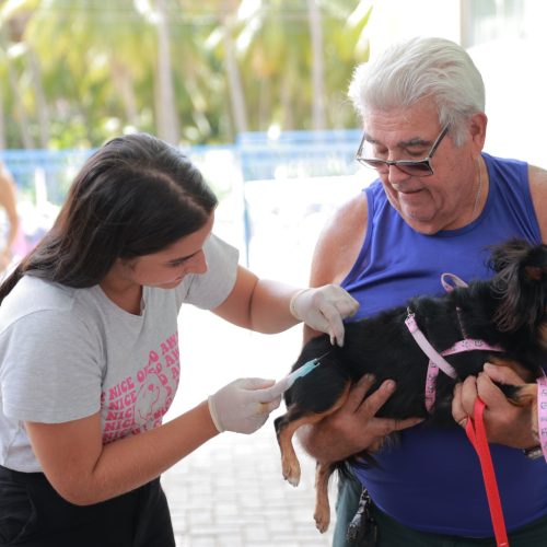 Dia D de vacinação antirrábica será realizado no dia 7 de novembro, em Juazeiro do Norte