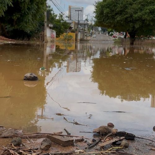 Trecho da Avenida Plácido Aderaldo Castelo segue interditado após chuvas em Juazeiro do Norte