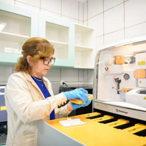 Ceará lidera identificação de pessoas desaparecidas no Brasil