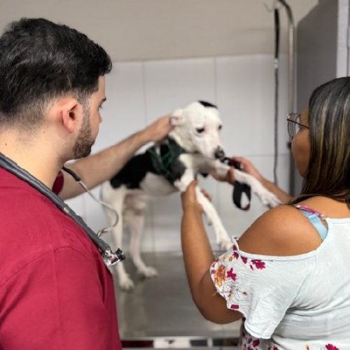 Crato recebe o programa Giro Pet Ceará nesta quinta-feira (28)