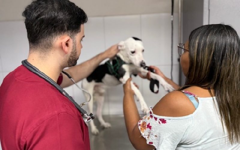 Crato recebe o programa Giro Pet Ceará nesta quinta-feira (28)
