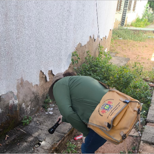 Núcleo de Endemias orienta sobre procedimentos ao encontrar escorpiões e como solicitar o serviço de inspeção