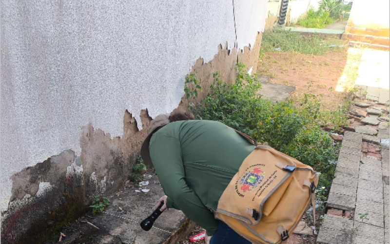 Núcleo de Endemias orienta sobre procedimentos ao encontrar escorpiões e como solicitar o serviço de inspeção