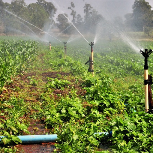 Novo curso da Fatec Cariri, Gestão do Agronegócio visa apoiar expansão agrícola sustentável