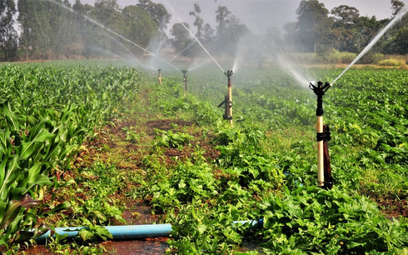 Novo curso da Fatec Cariri, Gestão do Agronegócio visa apoiar expansão agrícola sustentável