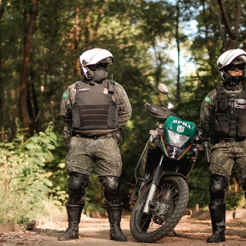 Homem é preso em flagrante pela PMCE por maus-tratos a cadela em Juazeiro do Norte