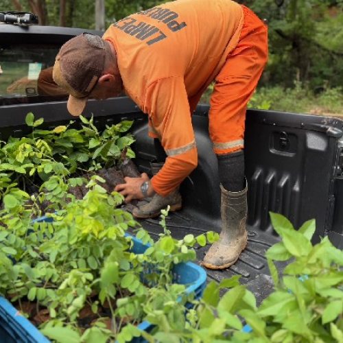 Crato recebe sementes de 15 espécies nativas da caatinga, destinadas ao Viveiro de Mudas