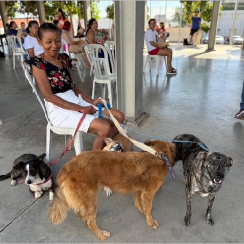 Giro Pet Ceará leva ações de saúde e bem-estar animal ao Crato