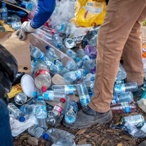 Nordeste lidera ranking de destinação inadequada de lixo no Brasil