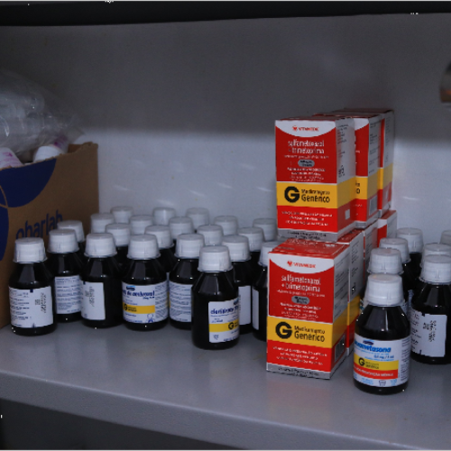 Juazeiro do Norte disponibiliza cinco postos estratégicos de saúde para romeiros