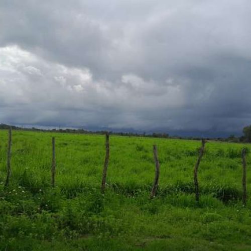 Previsão indica início de semana com maior instabilidade e chuvas mais abrangentes no Ceará