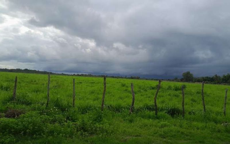 Previsão indica início de semana com maior instabilidade e chuvas mais abrangentes no Ceará