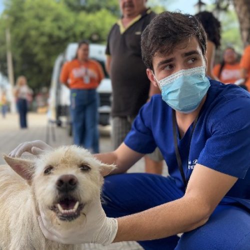 Prefeitura do Crato celebra Dia Nacional dos Animais com serviços de saúde e conscientização na Praça Cristo Rei