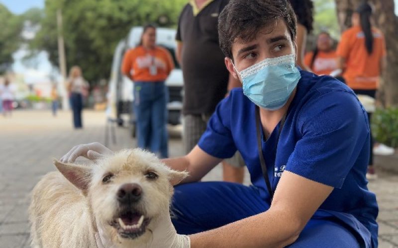 Prefeitura do Crato celebra Dia Nacional dos Animais com serviços de saúde e conscientização na Praça Cristo Rei