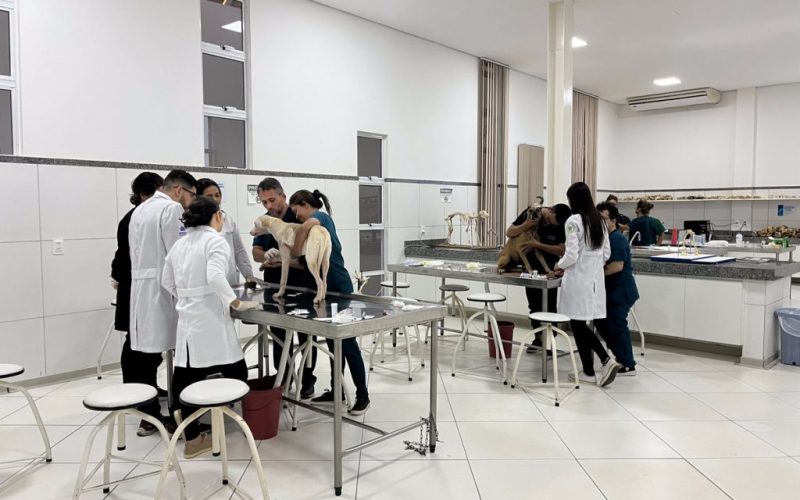 Unileão recebe primeira Residência Uniprofissional em Medicina Veterinária do Cariri, reconhecida pelo MEC